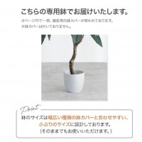 【高さ90cm】Nature 光触媒人工観葉植物 パキラ