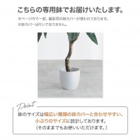 【高さ85cm】Nature 光触媒人工観葉植物 オリーブ