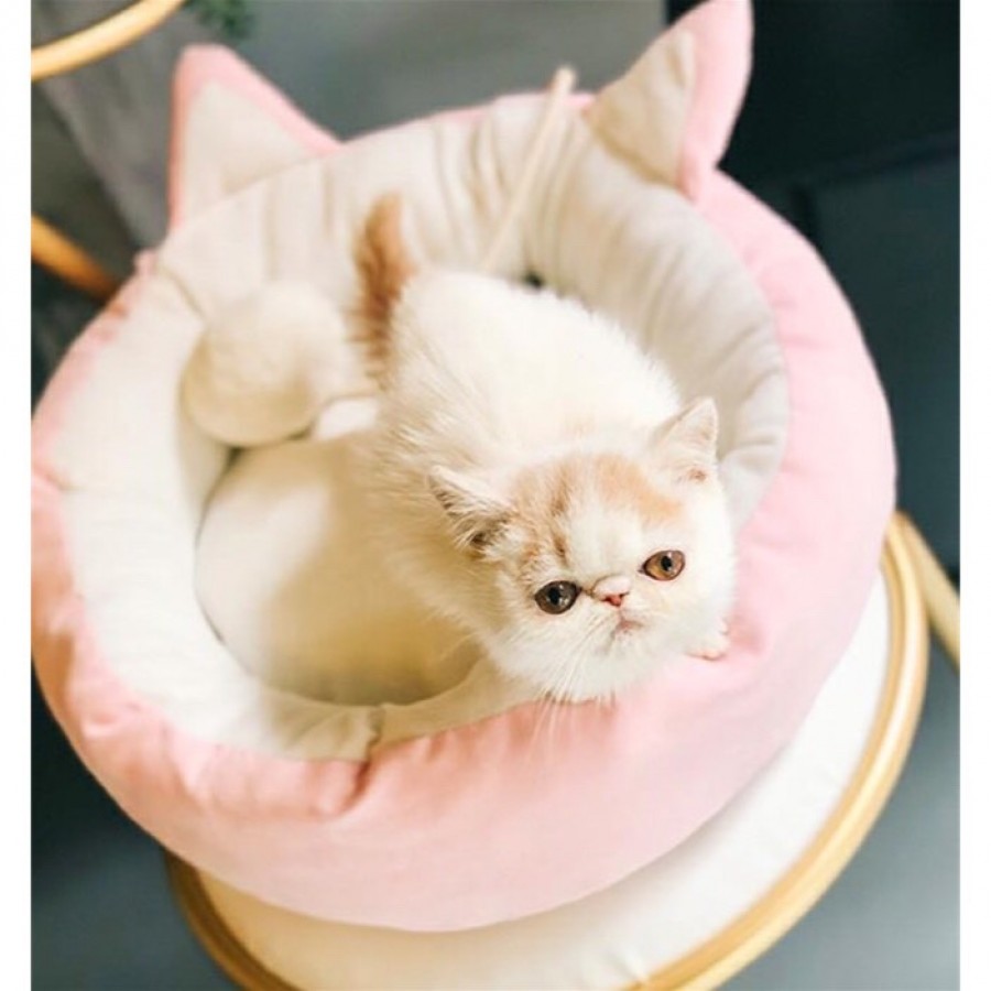 ペット用ベッド ピンク 犬猫通用 引き出物宅配サービス 引き出物宅配ならヒキレボ