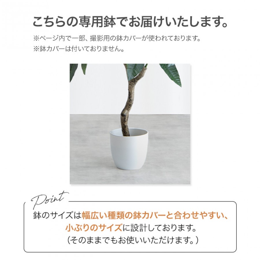 【高さ85cm】Nature 光触媒人工観葉植物 ユーカリ