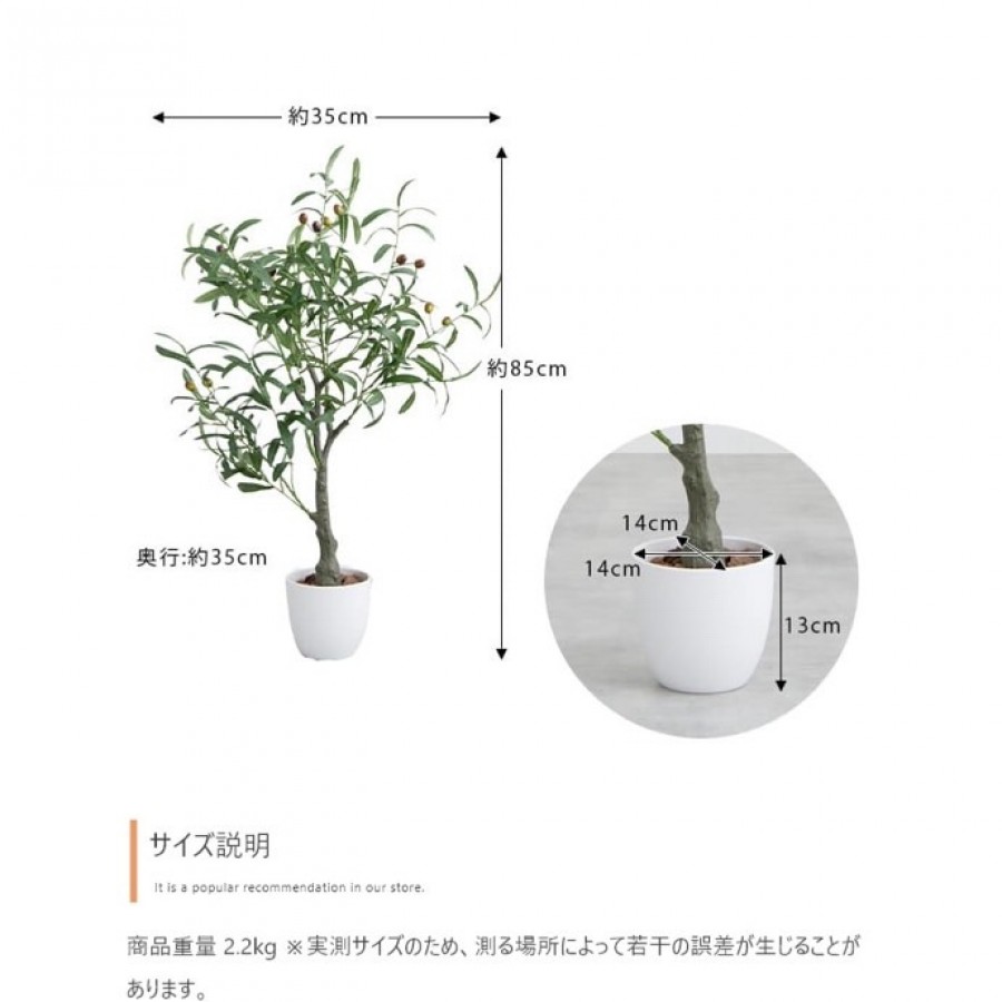 【高さ85cm】Nature 光触媒人工観葉植物 オリーブ